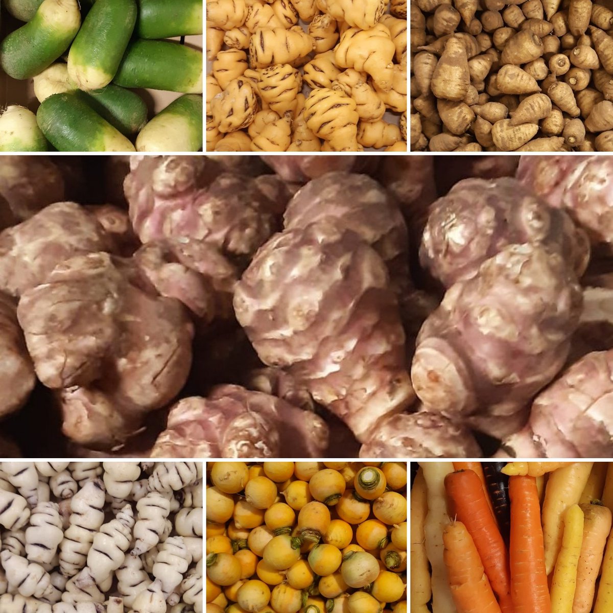 patchwork de légumes anciens produit dans le Finistère 😉

Une diversités de formes, couleurs, textures, goûts ...