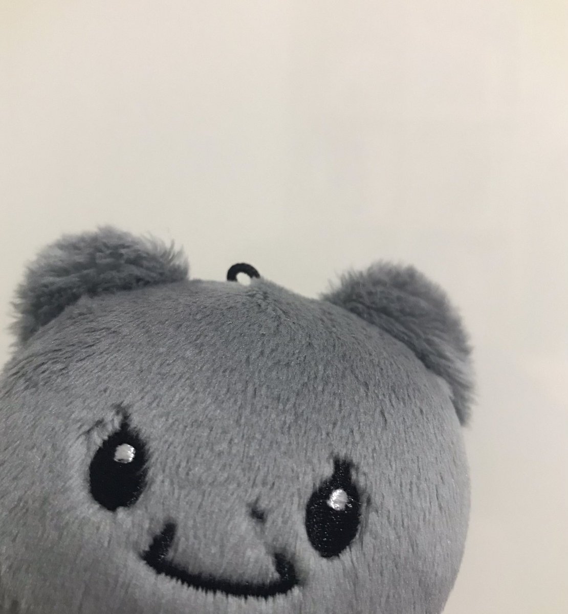 YeN_aa_'s tweet photo. 주인 핸드폰 갖고 놀다 셀카 찍힌 고양이 https://t.co/jZlpjRPoON