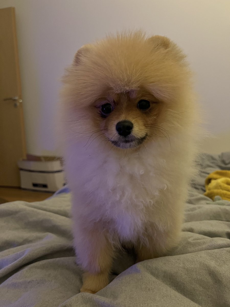 Original iPhone (2007) vs iPhone 13 Pro (2021)