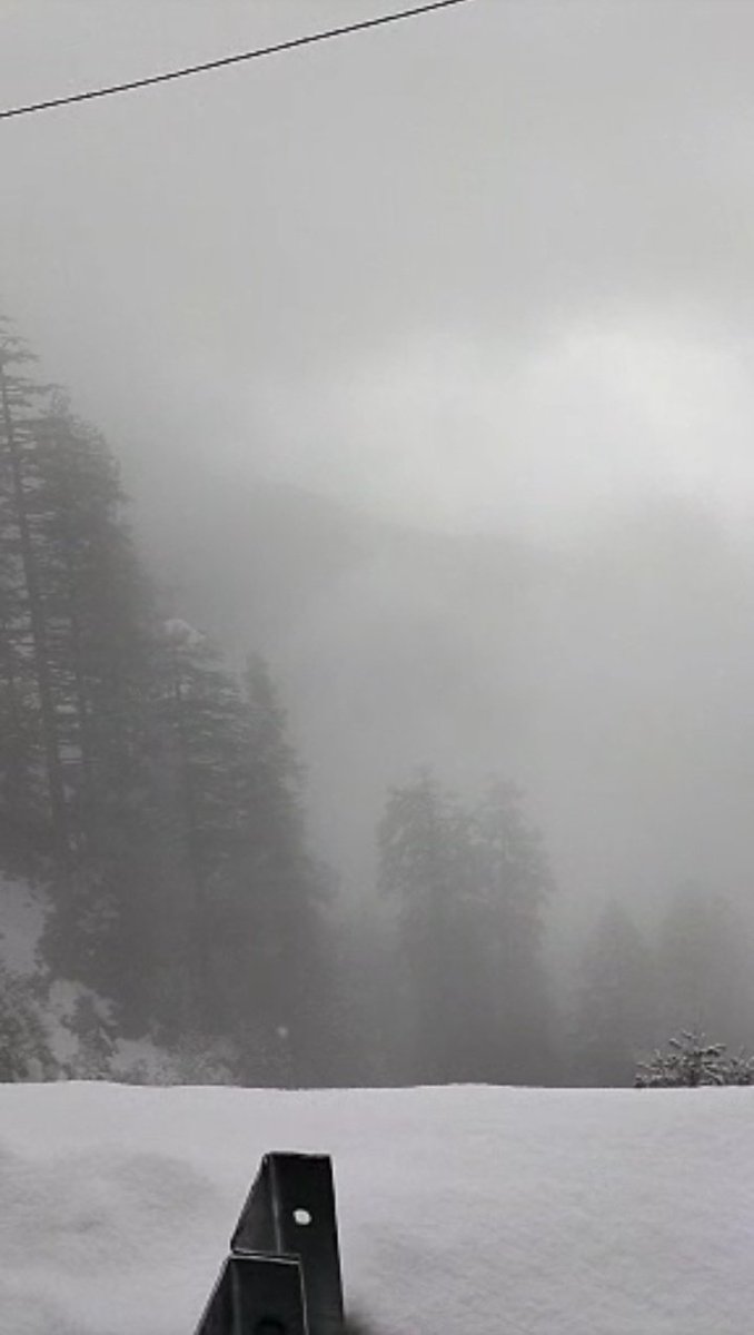 shubhamtorres09's tweet photo. Fresh #Snowfall in #Lokhandi
🏔️☃️
#Chakrata #Dehradun #Uttarakhand https://t.co/UqMgSNhURh