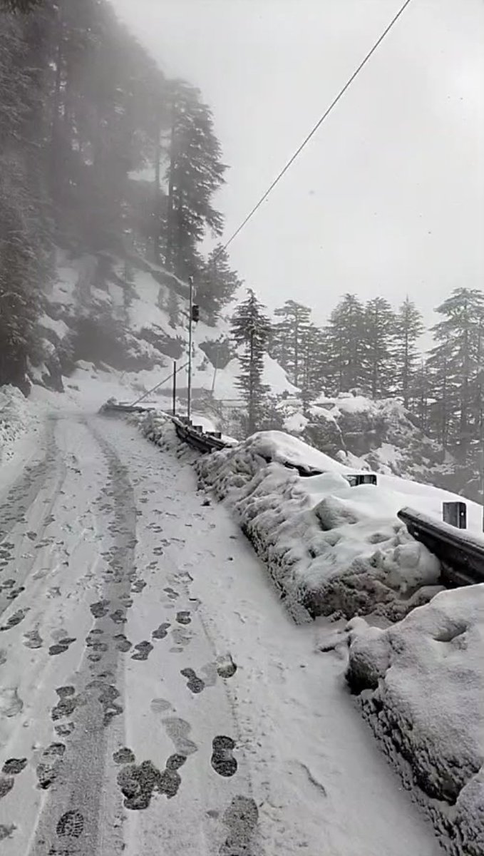 shubhamtorres09's tweet photo. Fresh #Snowfall in #Lokhandi
🏔️☃️
#Chakrata #Dehradun #Uttarakhand https://t.co/UqMgSNhURh