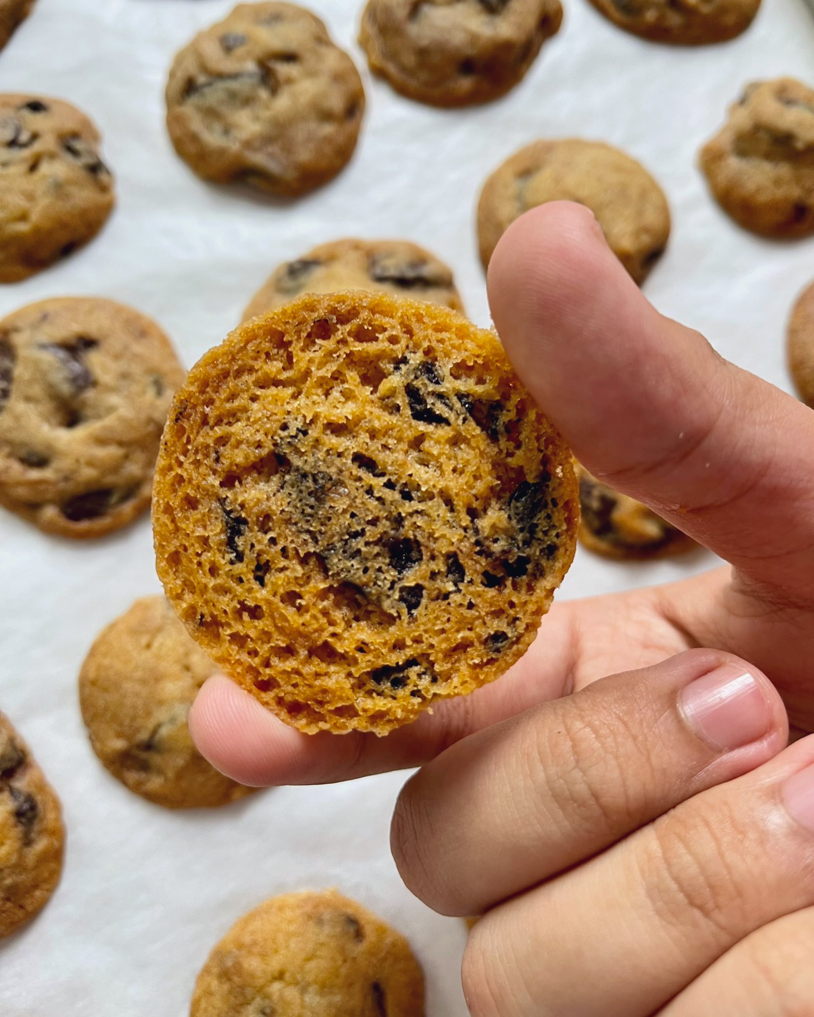Danish Harraz Su Twitter Siapa Nak Another Resepi Raya Percuma Yang Danish Baru Siap R D Untuk Semua Cuba Nanti Crunchy Chocolate Chip Cookies Ala F Amos A Mos Https T Co Imbo3kv3dx Twitter