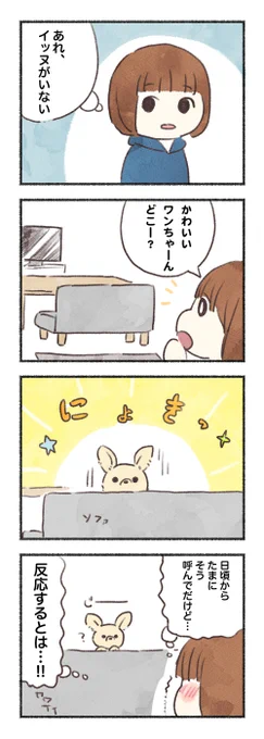 かわいいワンちゃんあるあるかも? 