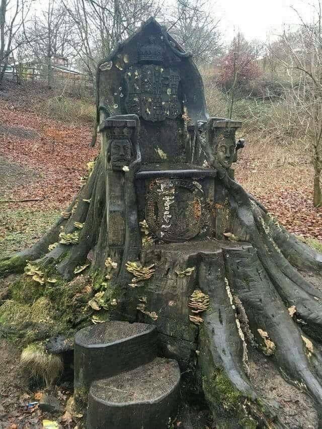 nerissaemy_520's tweet photo. A tree trunk throne in Kendal, England 💚 https://t.co/59J4Nxicaq