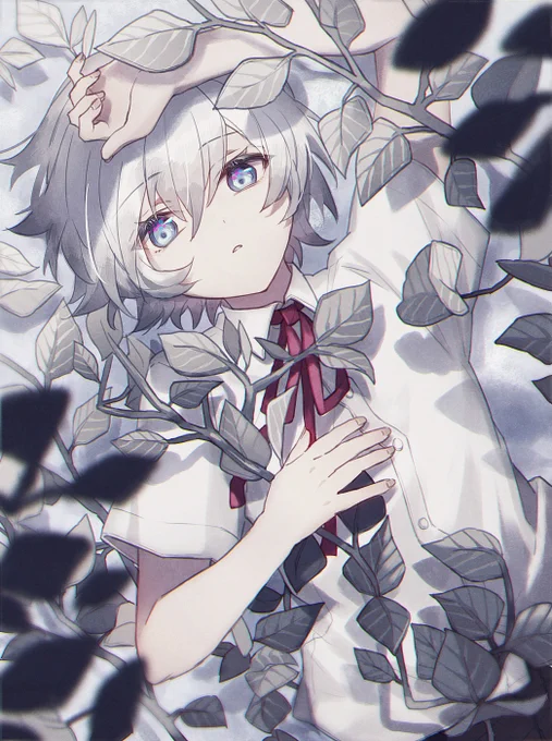 ブーゲンビリアの花が咲かない 