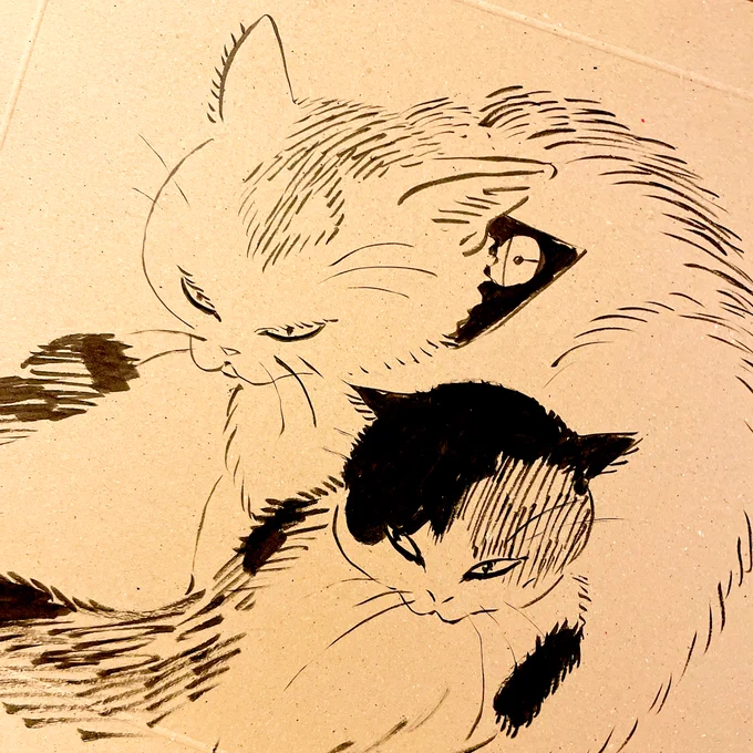 ふみうに 