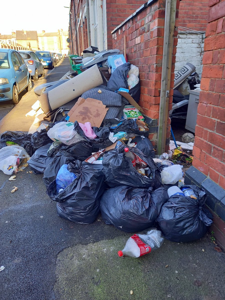 CouncillorQ's tweet photo. Our @SherwoodBerrid1 clean team going the extra mile this Saturday morning in Forest Fields. We can't #MakeBerridgeBeautiful without our fantastic @MyNottingham officers ๐ก๐งน๐๐ https://t.co/uWVk2s8SGp
