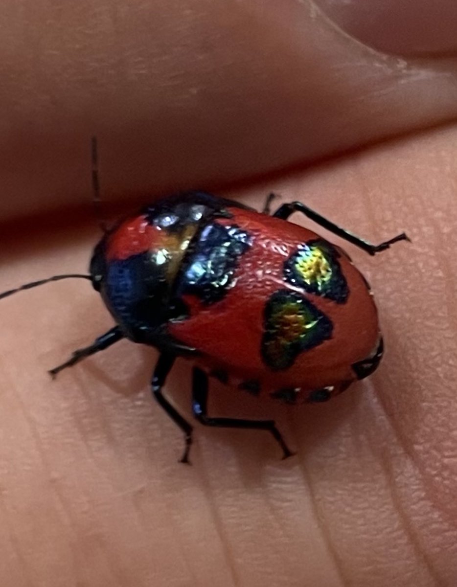 Tim Glazbrook tweet media