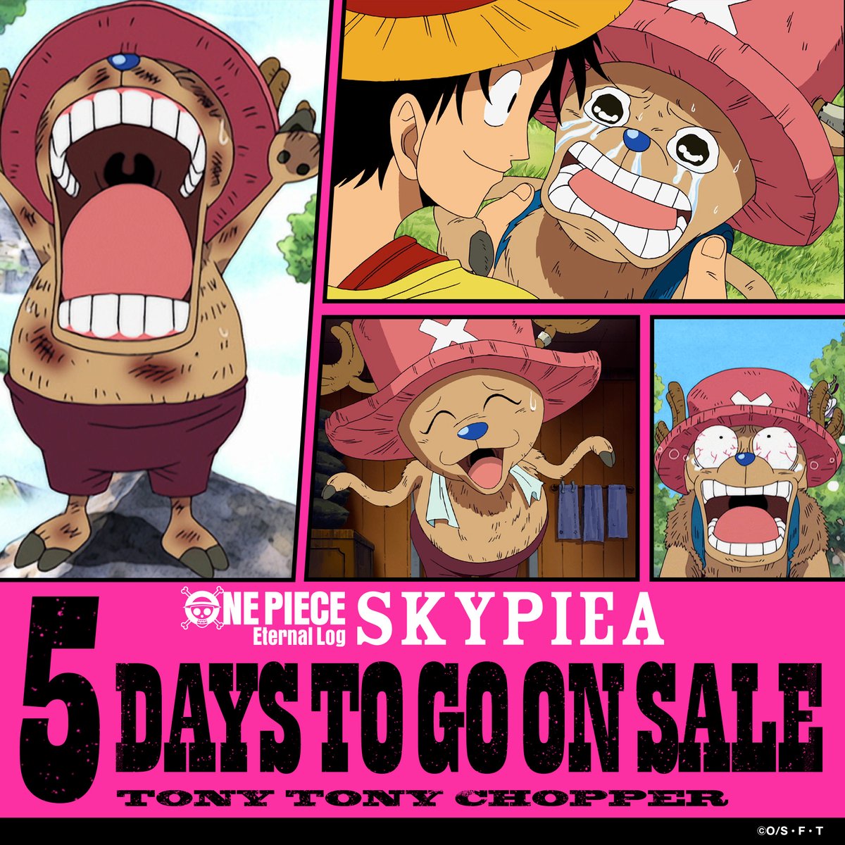 アニメ One Piece Dvd公式 Onepiece Dvd Twitter