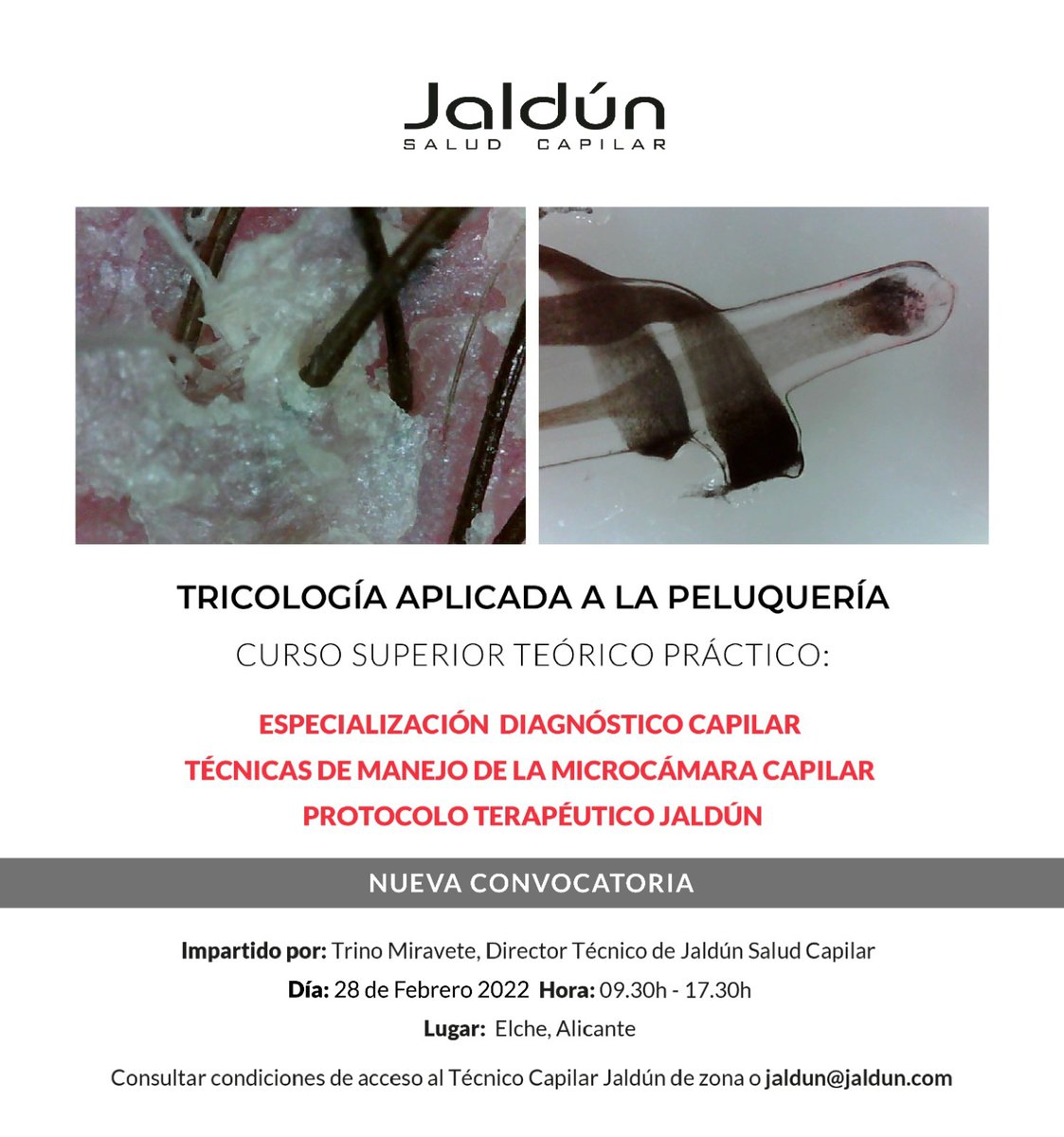 JaldunSC's tweet photo. ⚠️NUEVA CONVOCATORIA FORMACIÓN DIAGNÓSTICO CAPILAR PRESENCIAL⚠️

📆Fecha: 28 de Febrero 2022
🕤Horario: 9:30h 17:30h
👤Impartido por: Trino Miravete
📍Lugar: Elche

***Consultar condiciones de acceso con tu técnico capilar o enviando un email a jaldun@jaldun.com. https://t.co/x31juZKbQ2