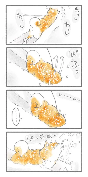 あたち、ゆきぐにわんにあこがれる。 