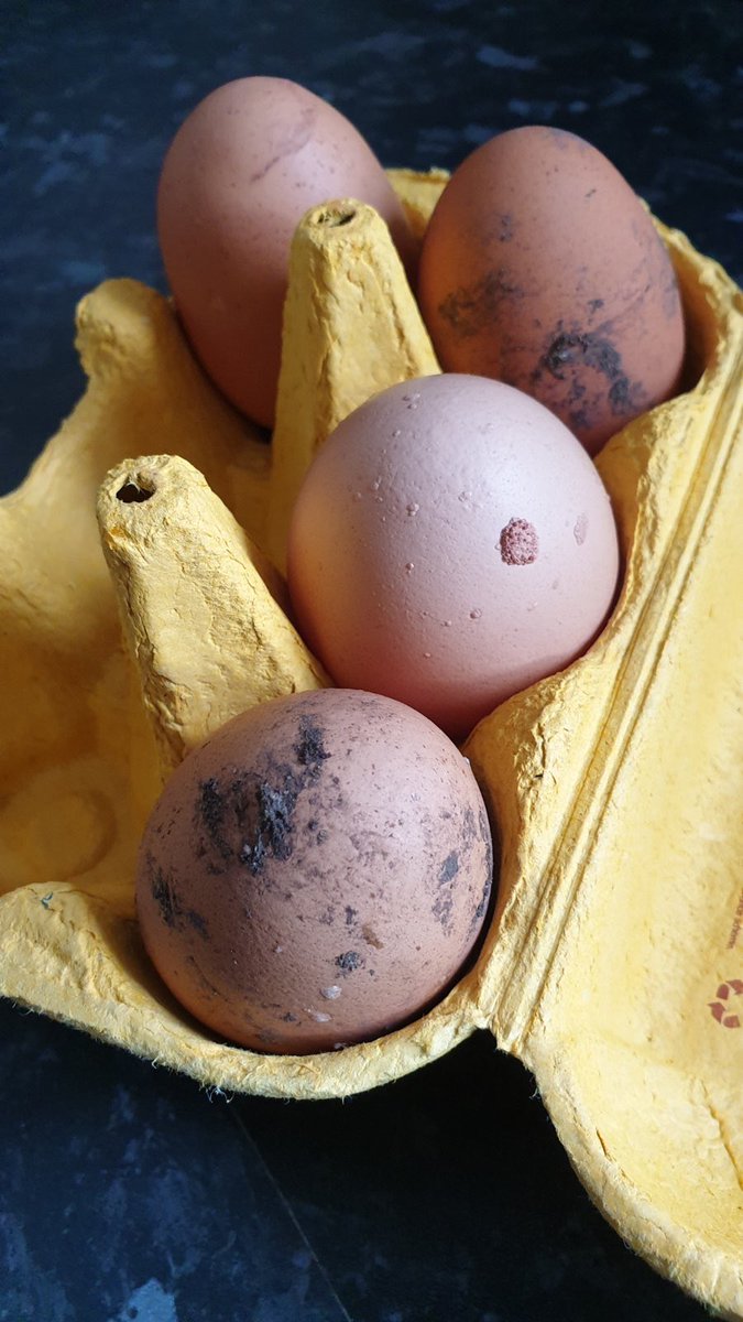 Walton C of E Primary tweet media