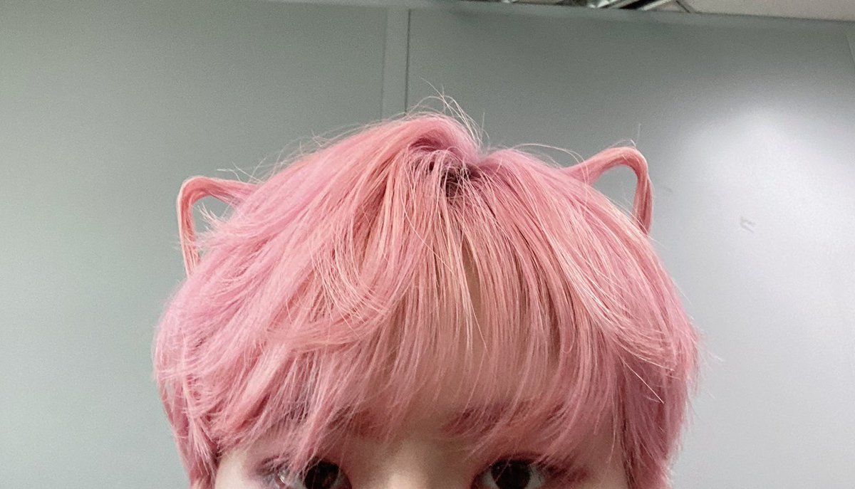 atinyteez009's tweet photo. A thread : Seonghwa's cat ears https://t.co/IQY1EfzGvf