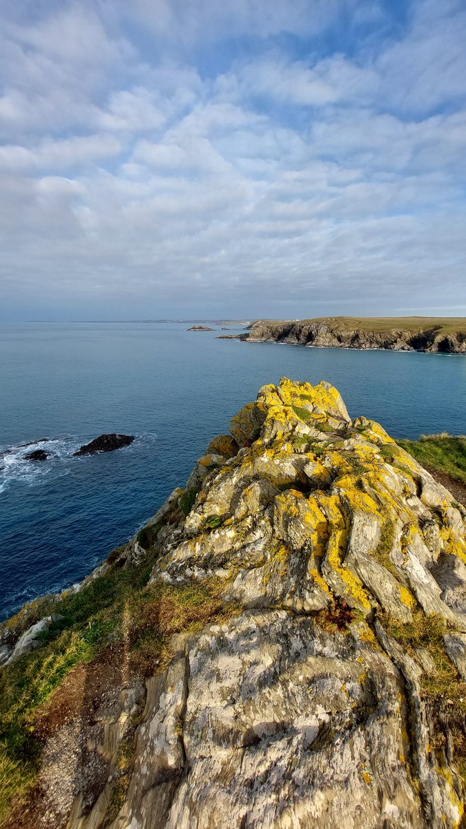 sandtreader's tweet photo. We interrupt your doomscrolling with a picture of some yellow rocks.
That's all, as you were.
#cornwall #kernow #cliffs #lichen #polyjoke https://t.co/7jeaB2UjL4