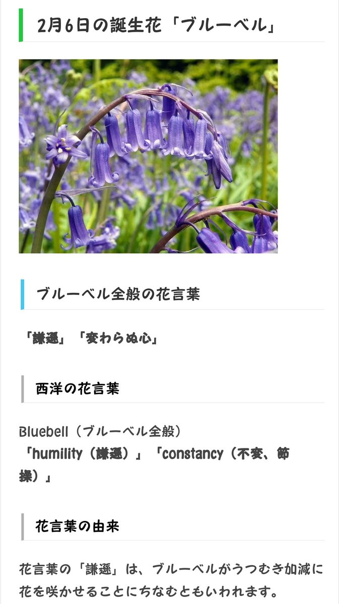 تويتر 箱ラジ البحث في تويتر