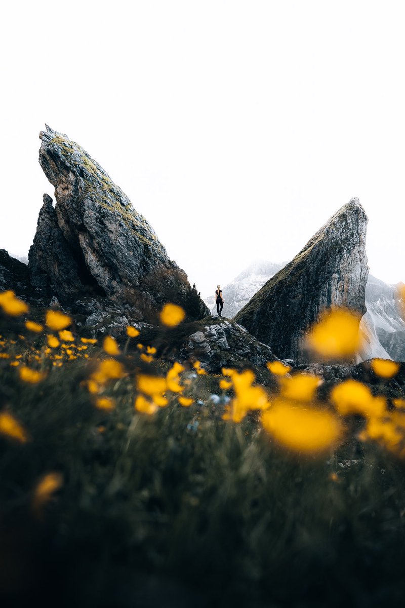 0.69 ETH = 0.69 ETH

„dolomite butterfly“ ready to get stolen 🦋 

foundation.app/@sergioantoni/…