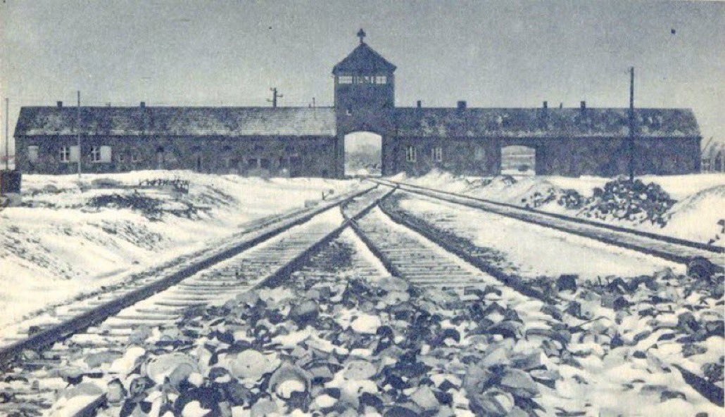 DavidHarrisNY's tweet photo. As #HolocaustRemembranceDay nears, let’s recall AUSCHWITZ-BIRKENAU. 

Between 1940-45, 1 million Jews &amp; 100k Polish Catholics, Soviet POWs &amp; Roma were murdered in this German slave labor and death camp. 

For the sake of the past, and for the sake of the future, we must remember. https://t.co/FMbfsRMm6F