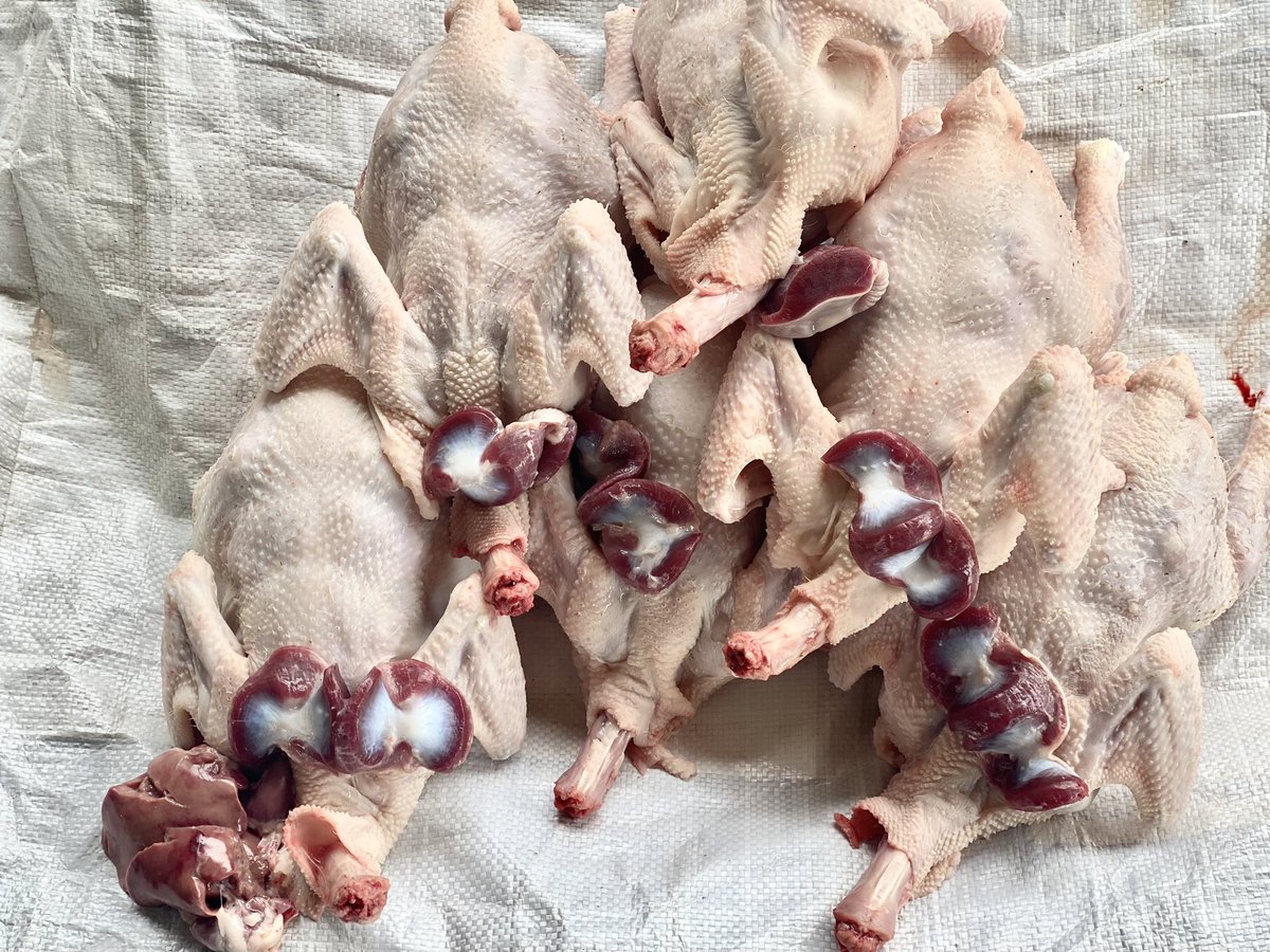 TheMatundaMan's tweet photo. 😋 

RT 🔁 

13,000/- ONLY 🐓 https://t.co/MymEMovSuB