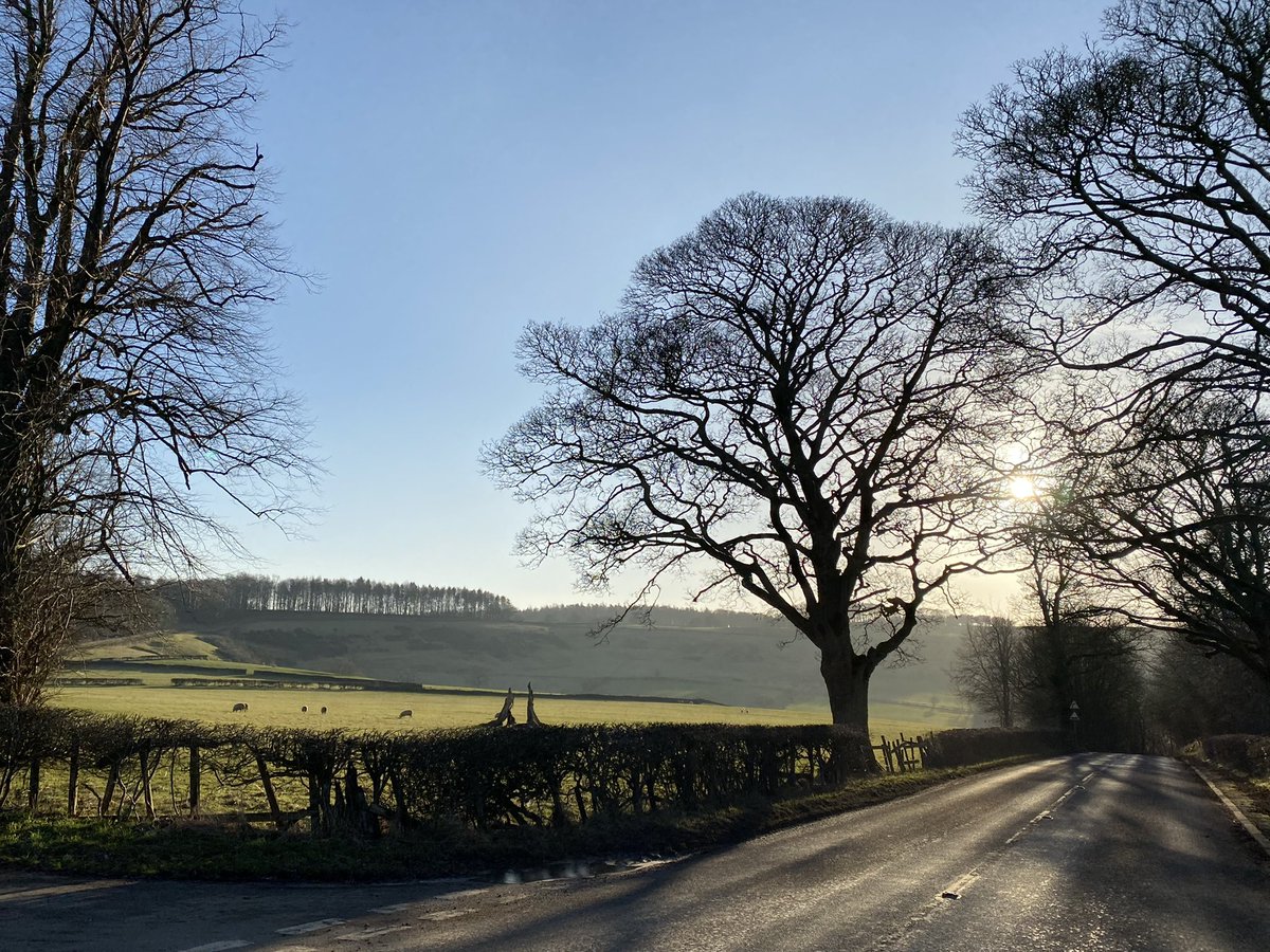 seaparkin's tweet photo. The light, darling, the light. So glad to be outside even if mostly viewed from car. Cheedale looked a bit chilly. Getting ready for exhibition. #winter #glorious #gooutside #trees #treasuringtrees #peaktrees https://t.co/b5YqczAK3D