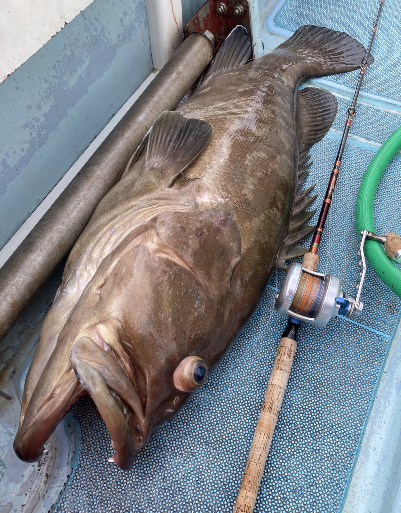 オダモン NEW2025 コマセ マグロロッド スタンディング 泳がせ