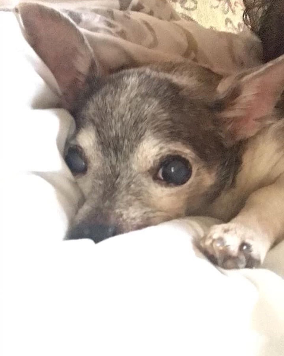 RicksZombieGirl's tweet photo. I just wanna be happier.. 

Melt me I’m cold..

I just wanna be happier…

Am I greedy?

💔😭 #Depression #Depressed #Heartbroken #RIPFancy  #BTS #BlueAndGrey https://t.co/NrVA07EvW1