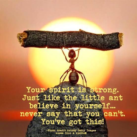 RemyaSR1's tweet photo. Little ant believes in himself! As little humans, we should also believe in ourselves.. #SaturdayShoutout #StayStrong #Strength #BelieveInYourself #SelfMotivation #SelfCare https://t.co/nYx8sp5NRV