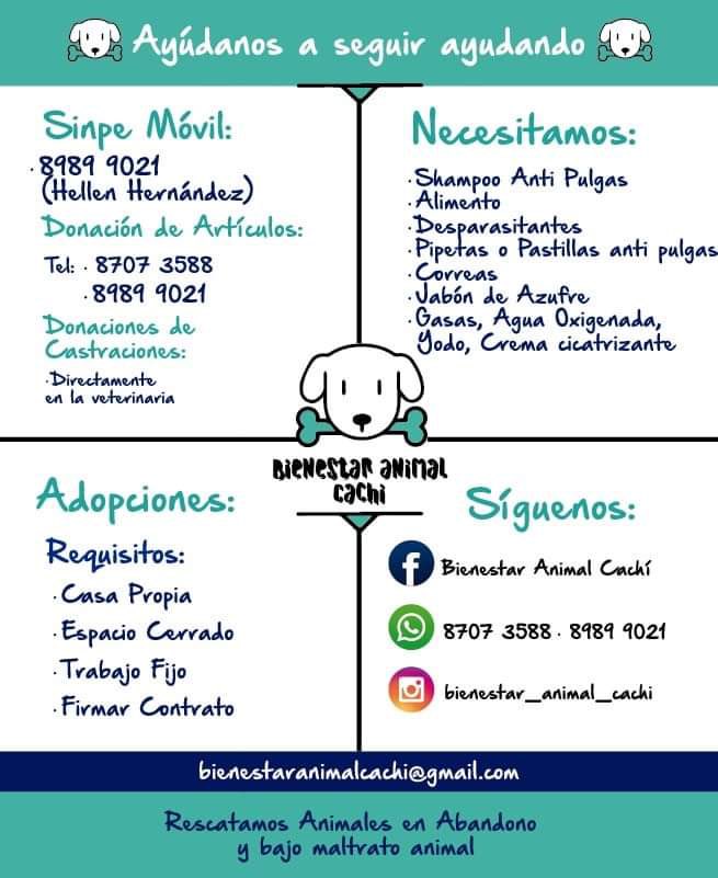 Si quisieran ayudar con un sinpe es acá 👇🏽👇🏽👇🏽