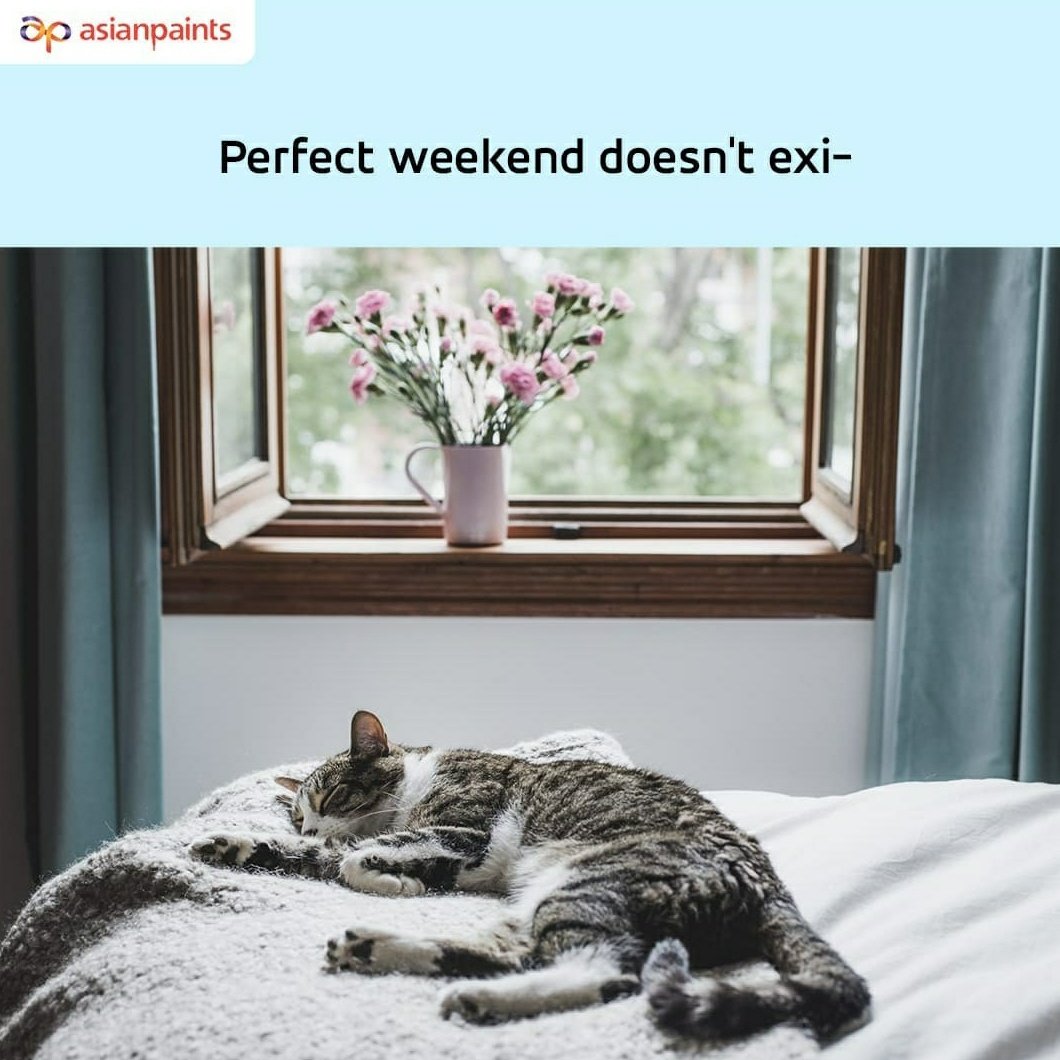 asianpaints's tweet photo. How do you spend your weekends? Tell us in the comments section. πΊ
#AsianPaints #HomeInspiration #HomeDecor #DecorMemes #Memes #WeekendVibes #CozyCorner https://t.co/wXBTkc8bzR