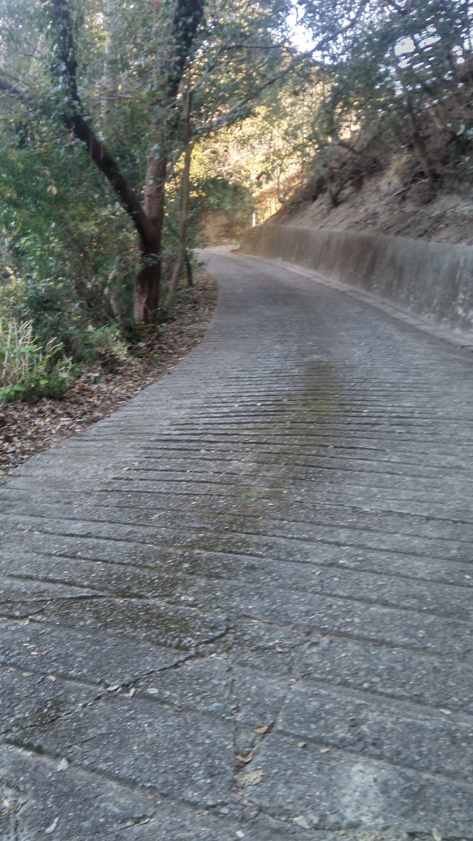 bousuisou's tweet photo. 愛知県知多郡美浜町小野浦(知多半島)
今日は私でなく夫が
坂道掃き掃除 https://t.co/U01oXnVbYh
