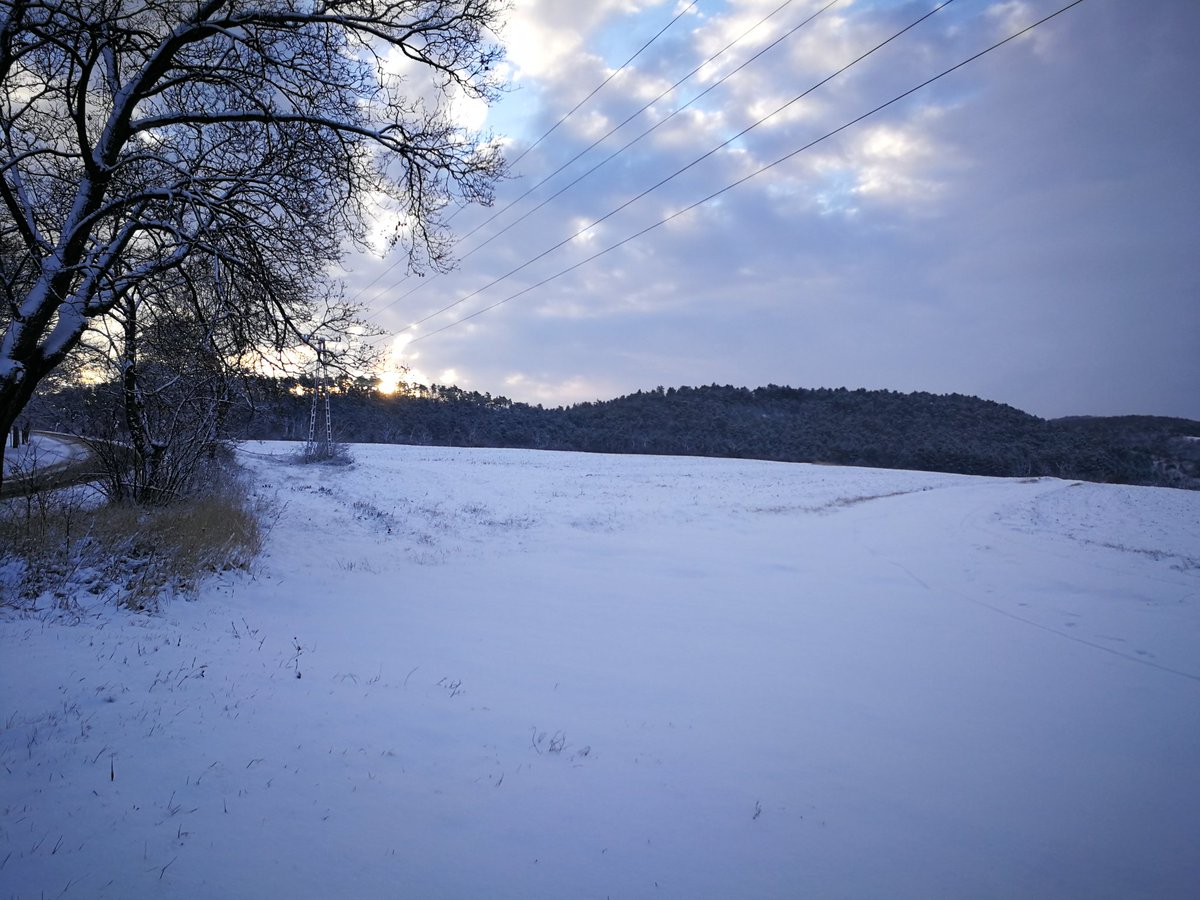 TrekZoli's tweet photo. Helló tél! 😊 #winter #hellosnow #saturdaymorning https://t.co/SMYnucRp0h