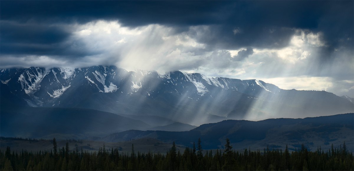 ybloko9's tweet photo. All the most interesting is at the boundary between light and dark☀️🌧️

https://t.co/xCcTTK4iAP

#NFT #NFTCommunity #NFTdrop #NFTPhotographer #NaturePhotography #SonyAlpha https://t.co/S7bHk98Sra