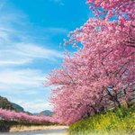 海一望絶景の宿 いなとり荘のツイート画像