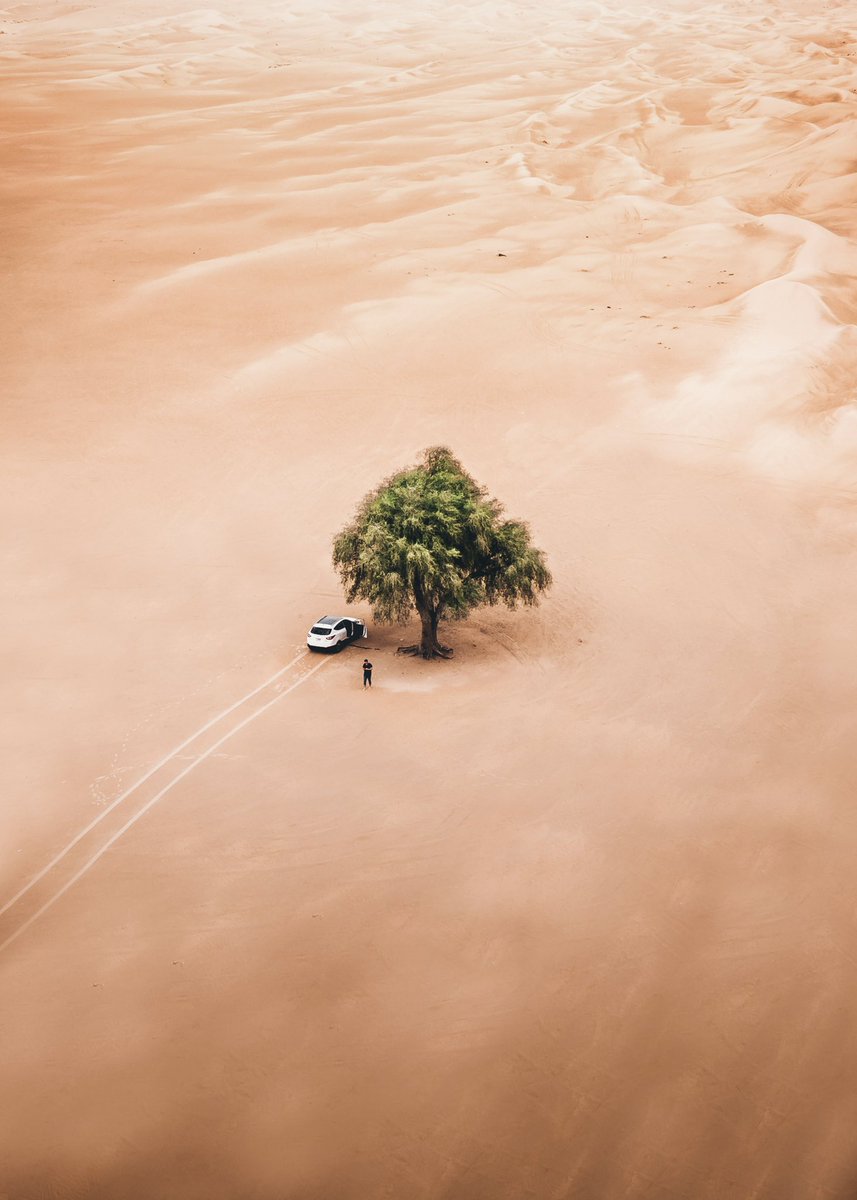 Ruth_Hurst_'s tweet photo. @hannes_becker @withFND Thanks for this opportunity Hanns. It's hard to nail down one favourite but if I had to this will be my top choice, there's just something about a lone tree in the middle of nowhere which will always blow my mind! 🌳❤️ https://t.co/A0anHAP2mC