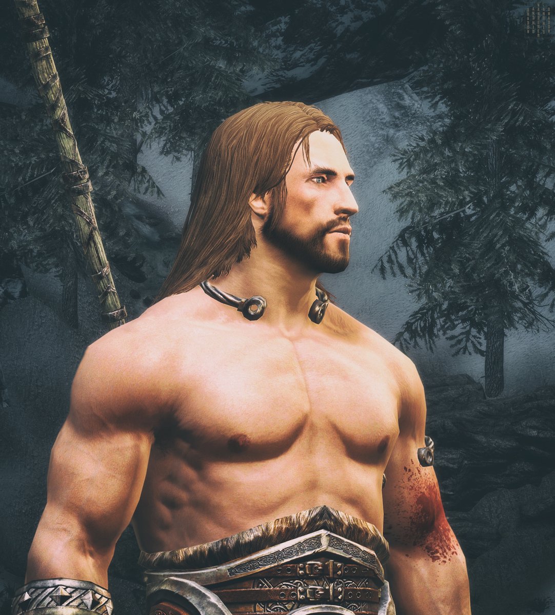 WandererHis's tweet photo. Developer Console ; Mods ; Adobe Photoshop
#Skyrim #VirtualPhotography https://t.co/Ix6zUj7ZQu