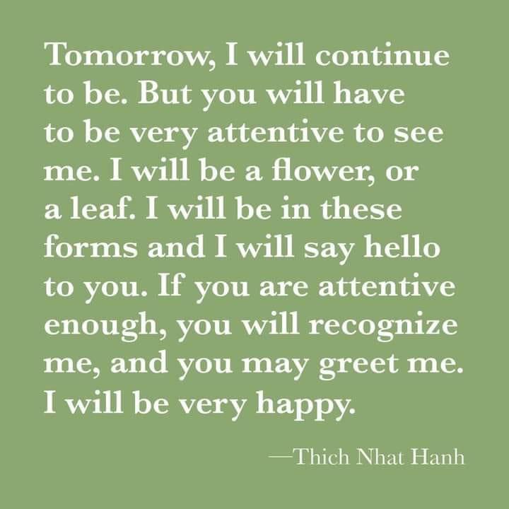 visionofjustice's tweet photo. Breathing in, I calm body and mind. Breathing out, I smile. Dwelling in the present moment I know this is the only moment.

 – Thich Nhat Hanh

Honoring a great teacher, man, and friend.

10.11.1926 - 1.22.2022 https://t.co/aZwmEUAJuE