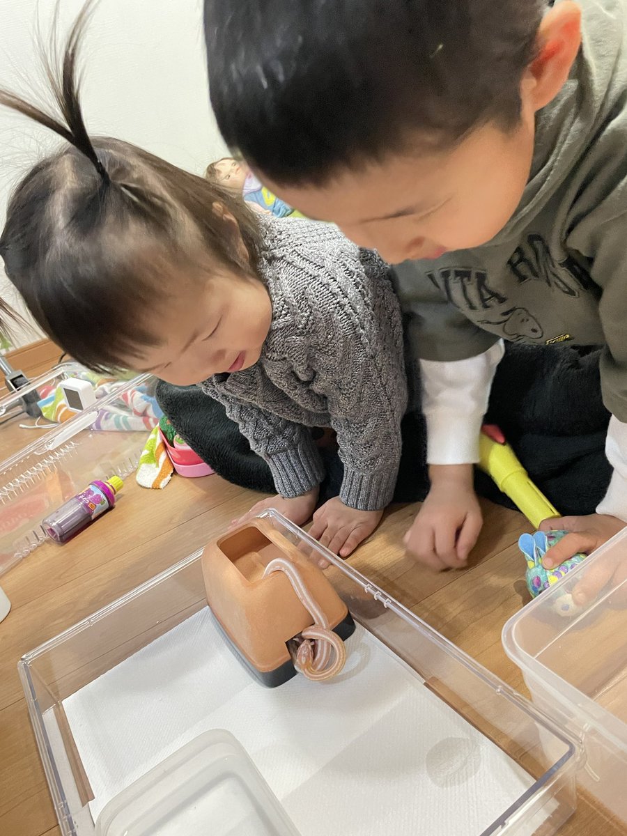 お掃除後
ごはん食べてるの覗かれてるー
子供らずーっと見てる