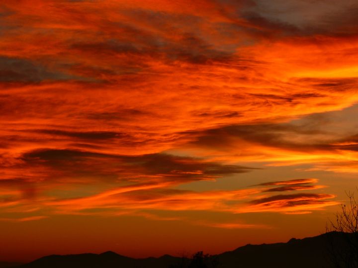 #Photo by #Mirakali Intense sky in Mirapuri <a href="/choochad95/">Kemajito</a> <a href="/BetweenTheSun/">Anna Le Doux</a> @lebalzin @KeiraNightly2 <a href="/MarcDamian4/">Marc Damian #MAGA</a> <a href="/yzcyzf/">性格色覚Ｗ異常フニクラ@CFS＆無呼吸&HSP</a> <a href="/ejlazar/">Retweet🔁R🔁Us</a> #photography #photographer #Mirapuri #NaturePhotography #sky #skyphoto #atmosphere #nature #naturelovers #earth #naturephoto Mirakali.net