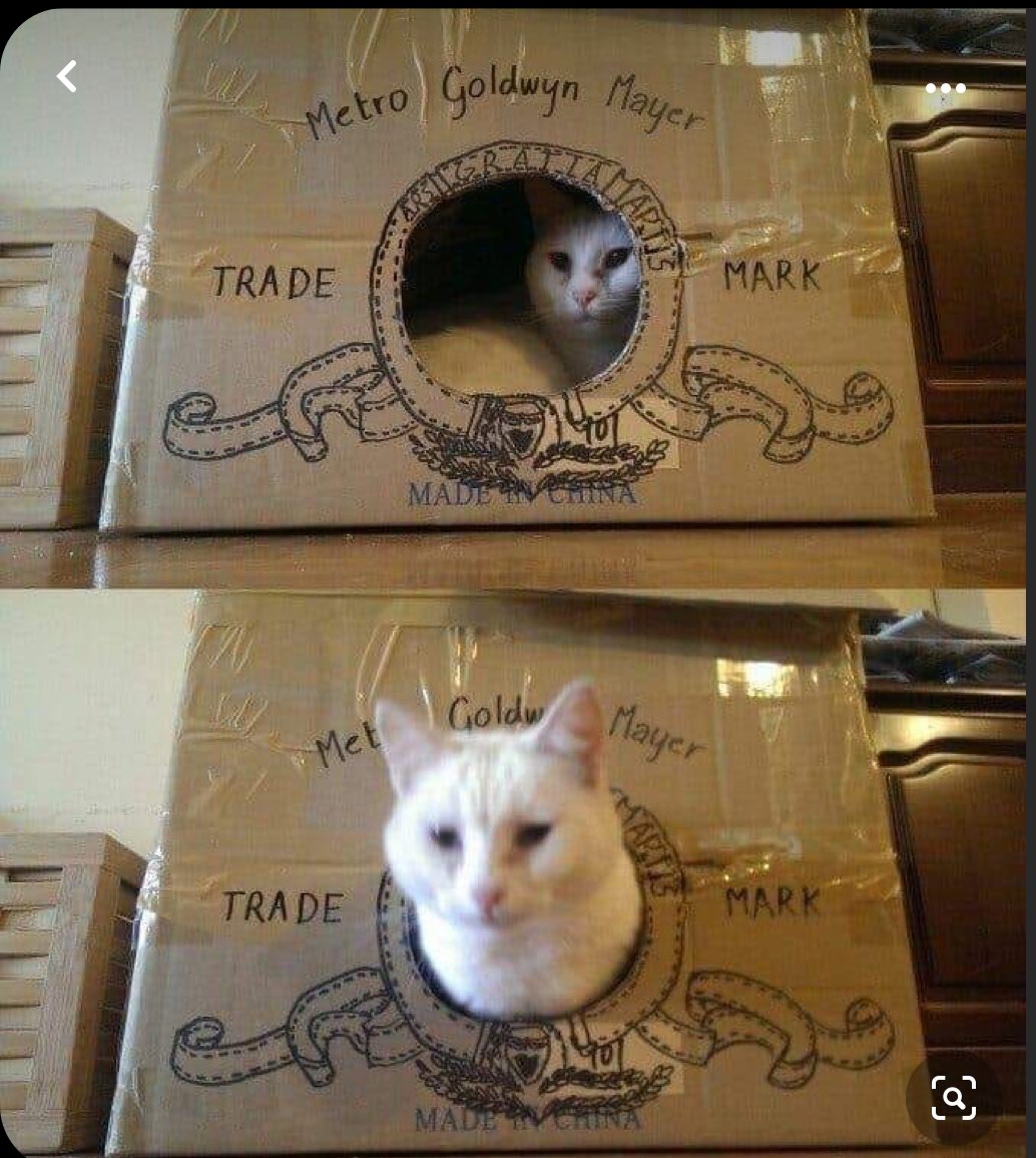 Aoife “Fe” Baker tweet media