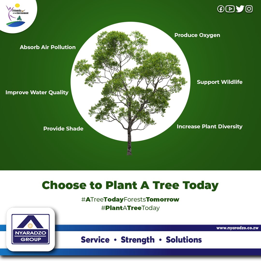 Nyaradzo_Group's tweet photo. Trees provide a multitude of benefits, both long and short term. #PlantATreeToday
#FOTE
#FriendsOfTheEnvironment https://t.co/PRbnkvhAFW