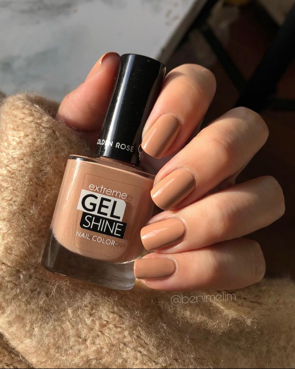 Golden Rose Goldenrosetr Twitter Golden Rose Goldenrosetr Twitter