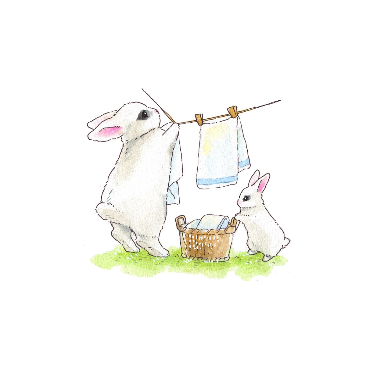 clothesline rabbit laundry no humans basket white background animal  illustration images