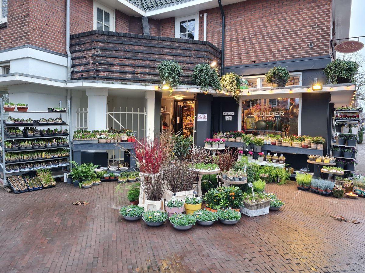 Een hele goede morgen! We hebben weer hele mooie bloemen en planten!