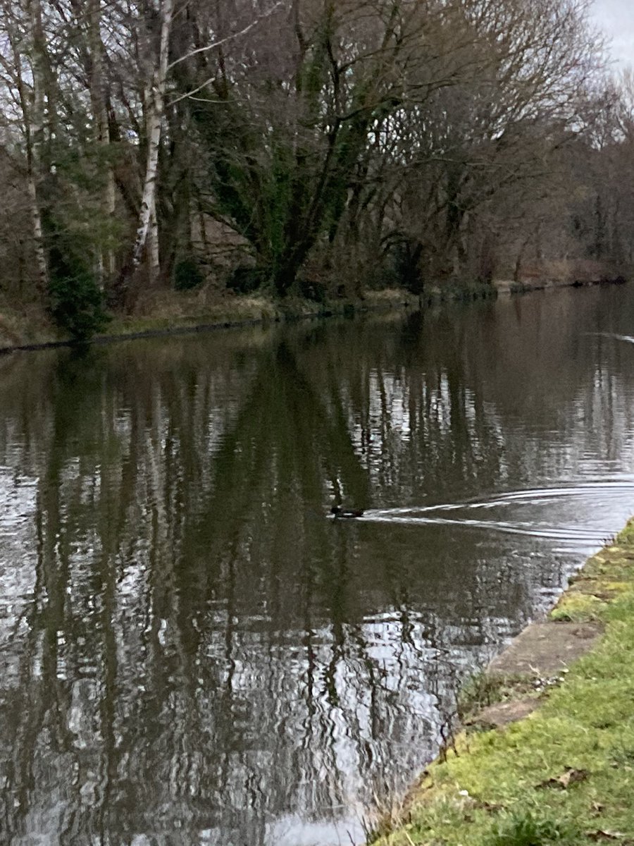 Phoenix parkrun tweet media