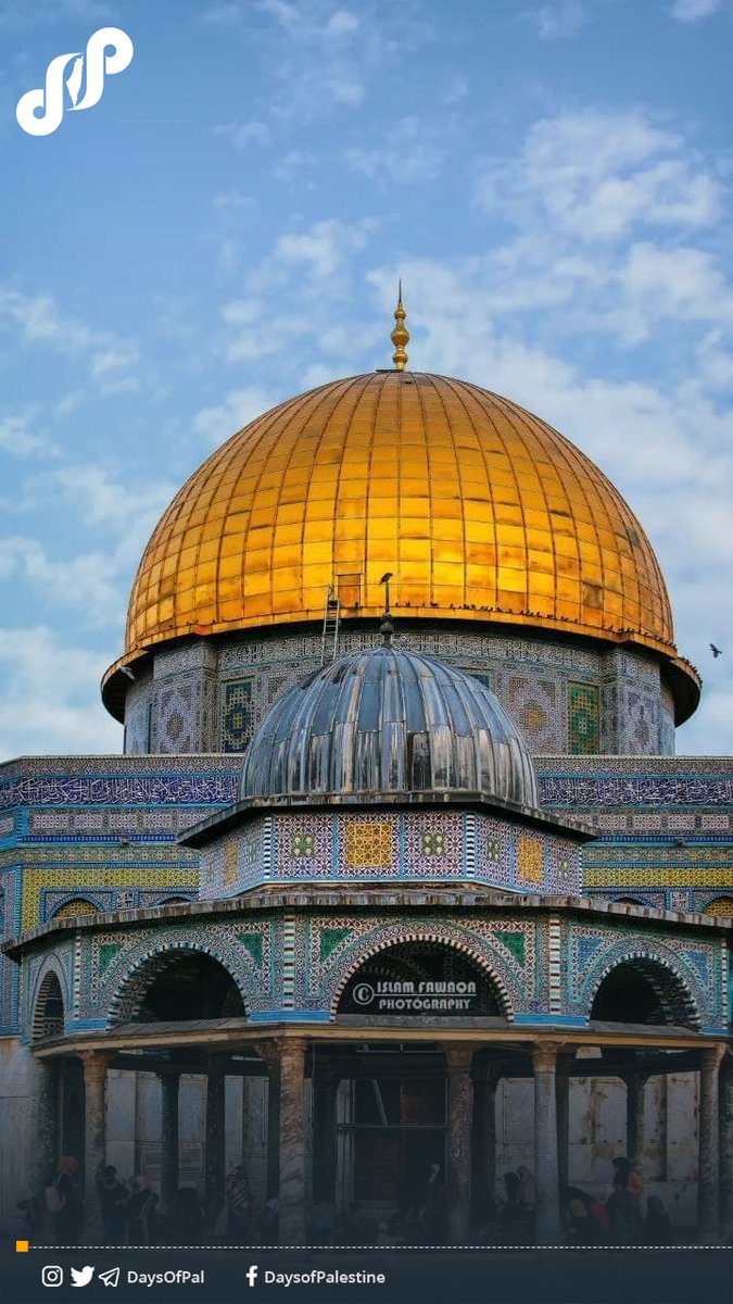GulnarZabin's tweet photo. Good morning from the most beautiful city, occupied #Jerusalem, #Palestine 🇵🇸🧡 https://t.co/wZMdHj7yM3