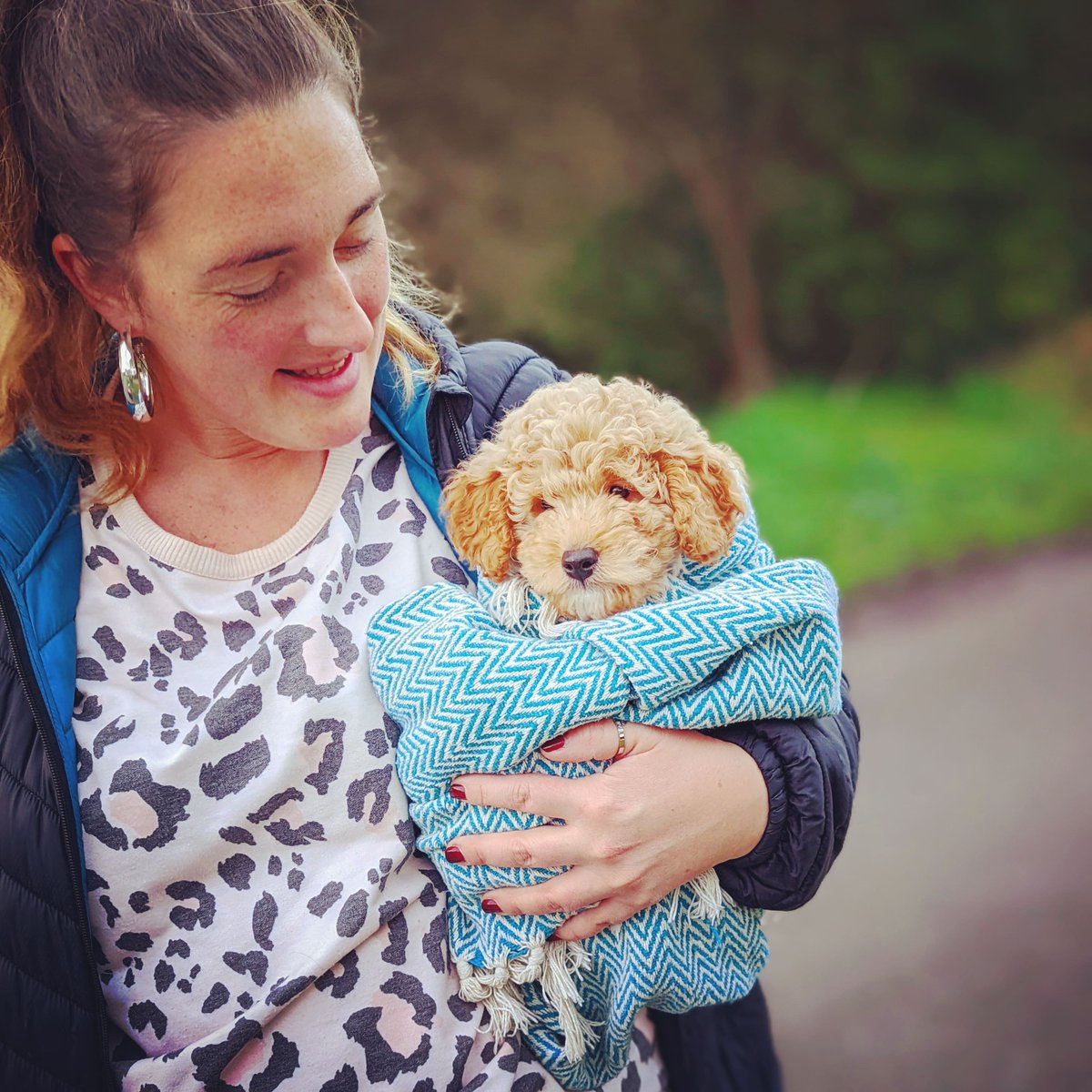 New family member at Ingram HQ 🐾♥️
