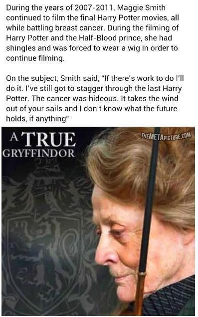 PotterWorldUK's tweet photo. A true Gryffindor. https://t.co/2BTryQCVMm