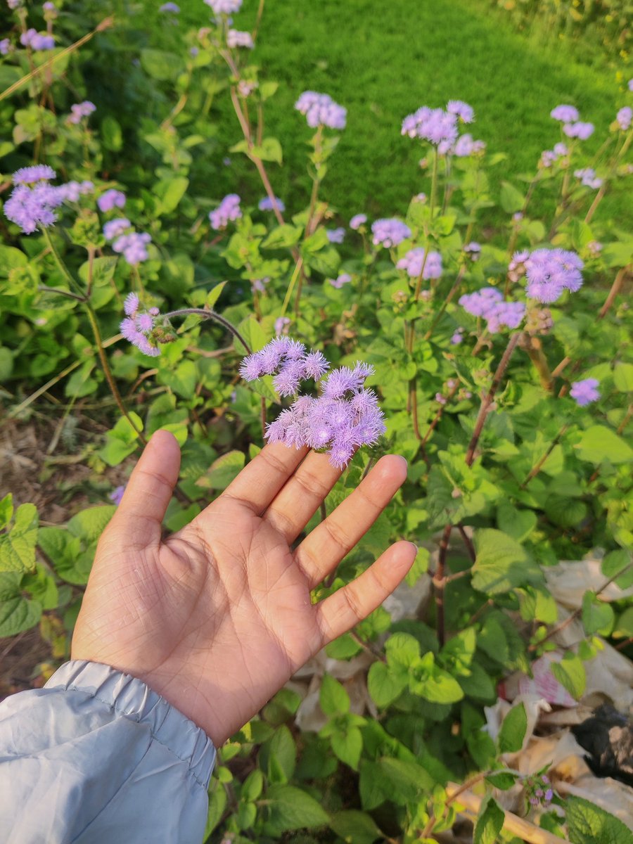im_srish's tweet photo. Life is not easy for any of us. But what of that? We must have perseverance and, above all, confidence in ourselves. We must believe that we are gifted for something, and that this thing, at whatever cost, must be attained. -Marie Curie https://t.co/7o3GAWRE5D