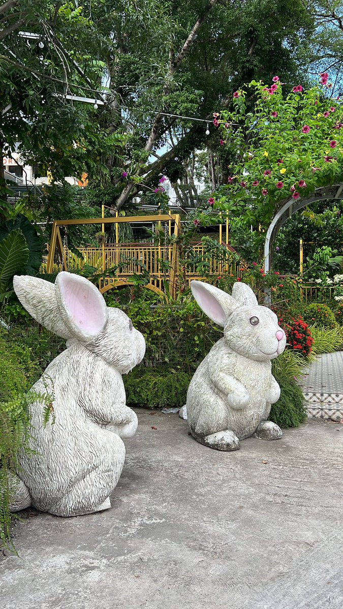 kaidesigncode's tweet photo. @RebelRabbits1 #WATU https://t.co/wDRqwEIuan