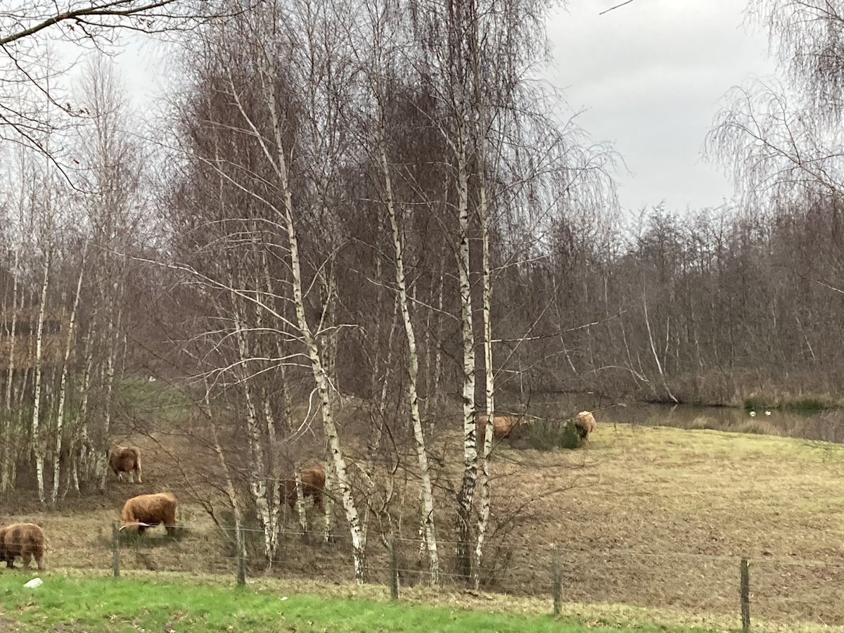Lekker om de dag zou te beginnen bij het openen van de gordijnen van de slaapkamer. @gemeentetilburg <a href="/TilburgReeshof/">TilburgReeshof</a> #Dongenvallei