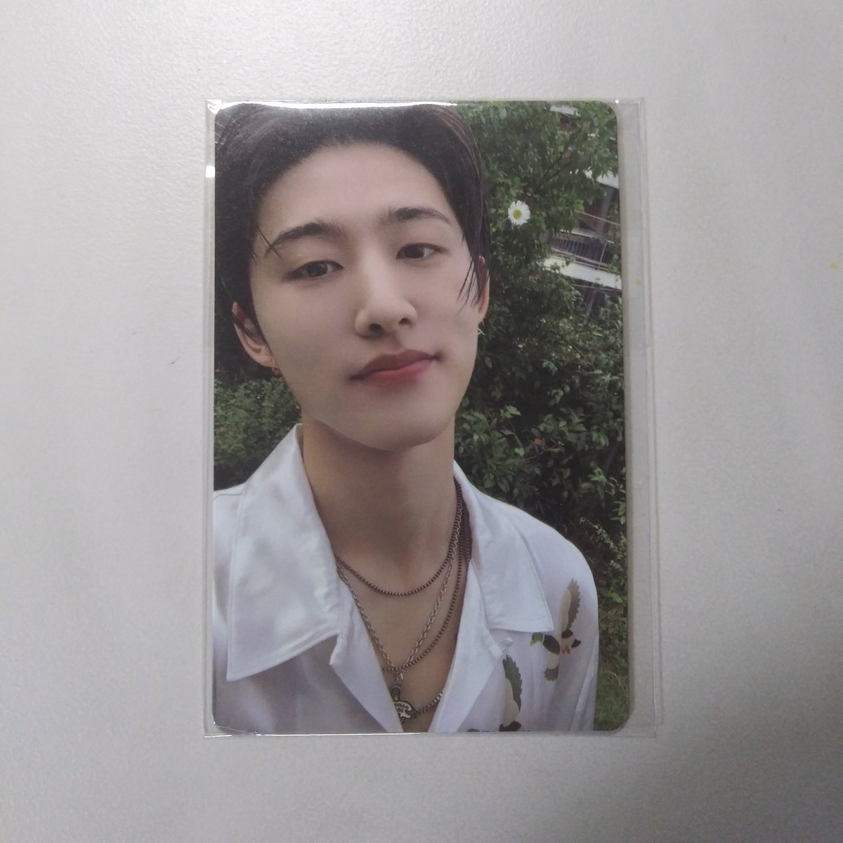 _magicpika's tweet photo. 비아이 김한빈 포카 양도 
청둥오리빈 준미포 0.5에 양도합니다! ￦5,000

⭕ SELL

b.i hanbin bi pc photocard poca https://t.co/bjTfovW6v4